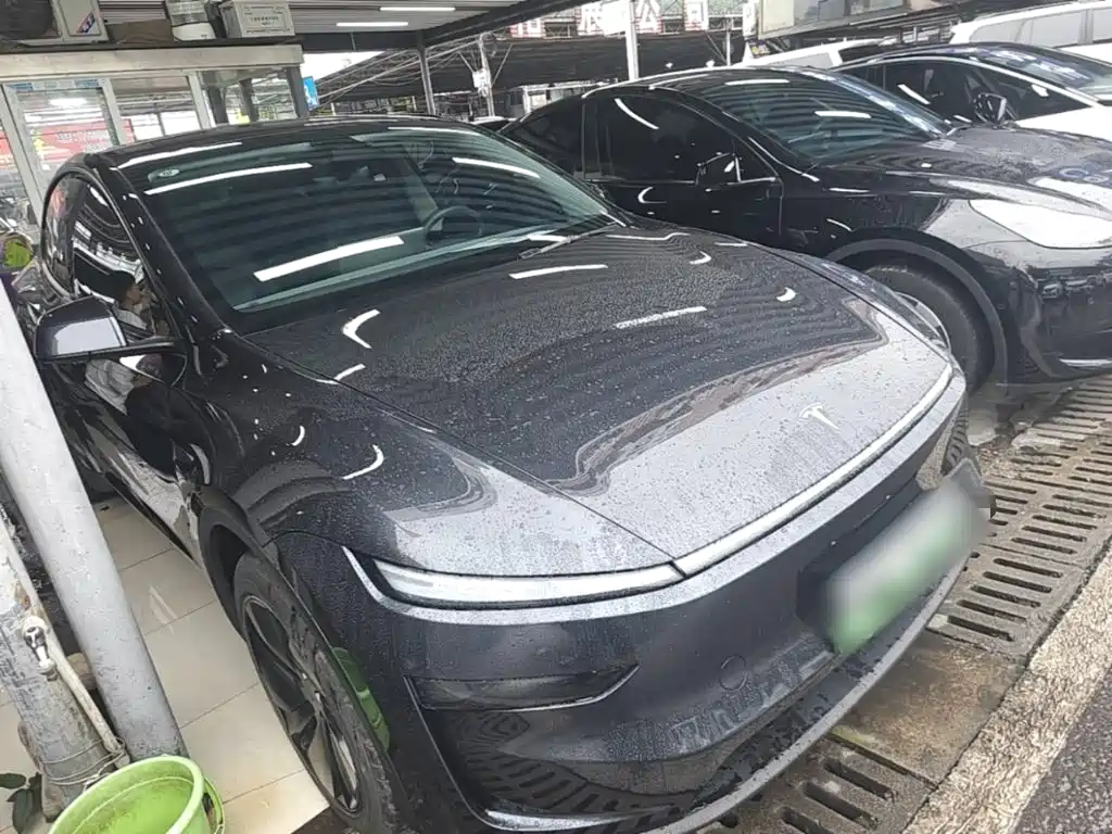 Tesla Model Y — миниатюра 4