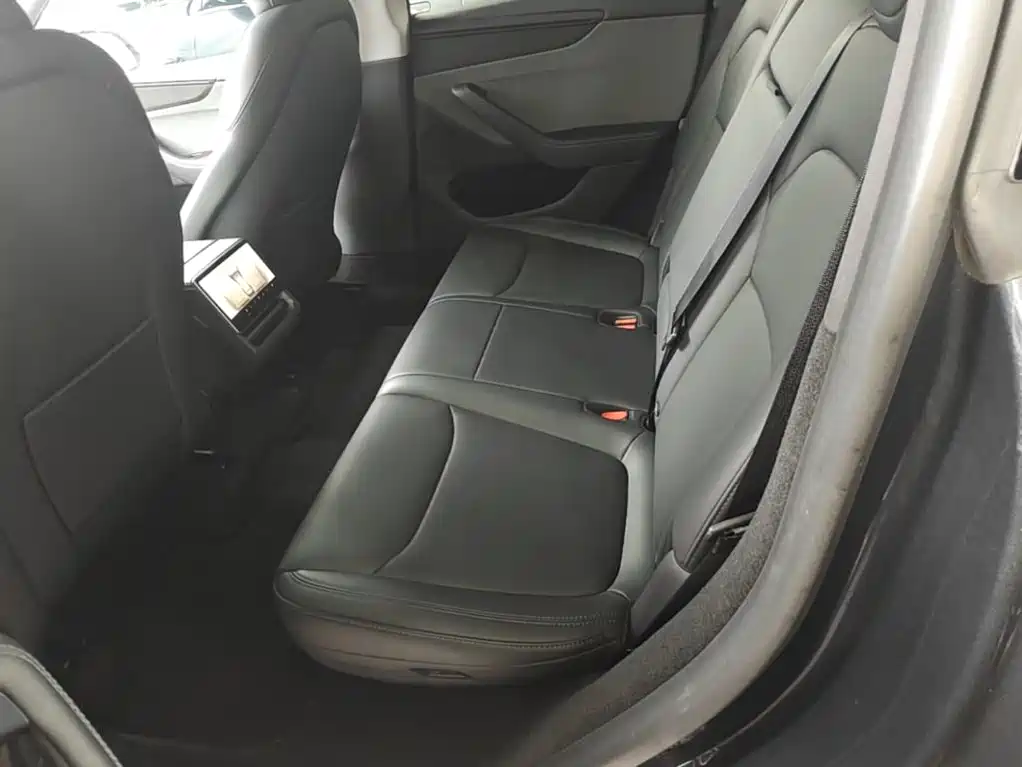Tesla Model Y — миниатюра 17
