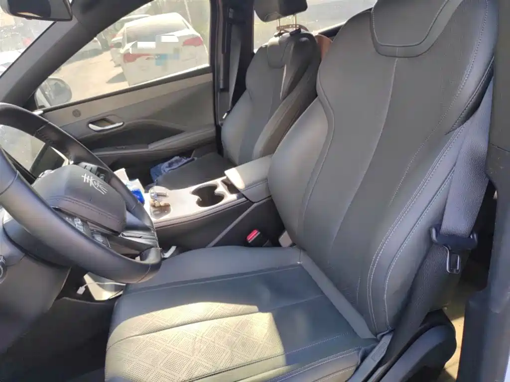 BYD Qin Plus PLUS 2025 DM-i Smart Drive 55KM Lead