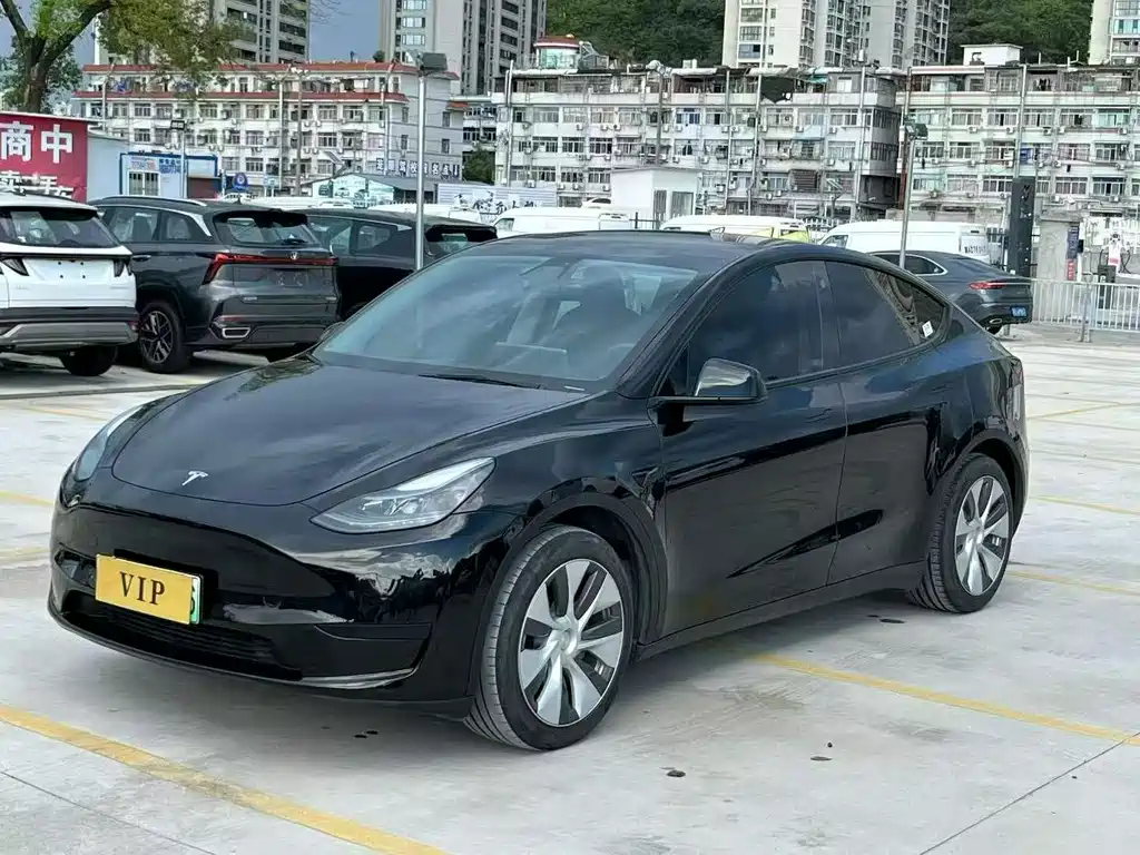 Tesla Model Y — миниатюра 2