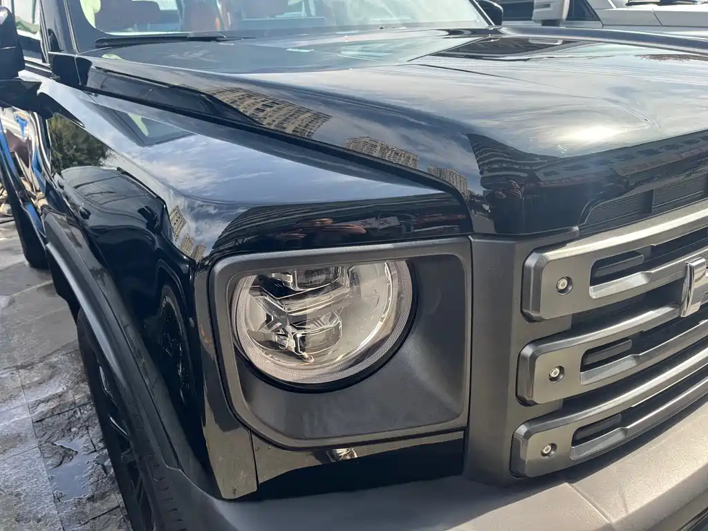 HAVAL RAPTORS NEW ENERGY