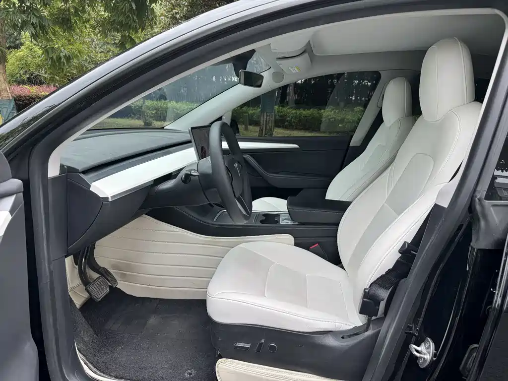 Tesla Model Y — миниатюра 4