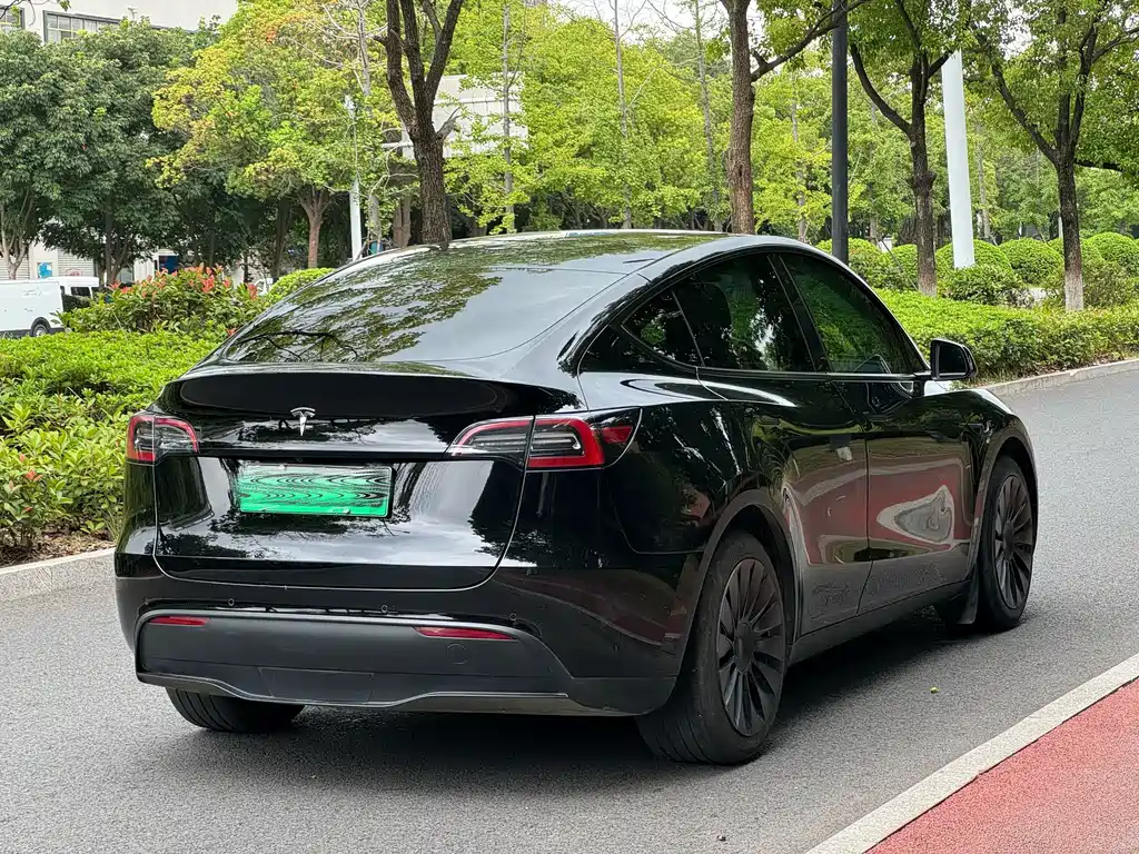 Tesla Model Y — миниатюра 12