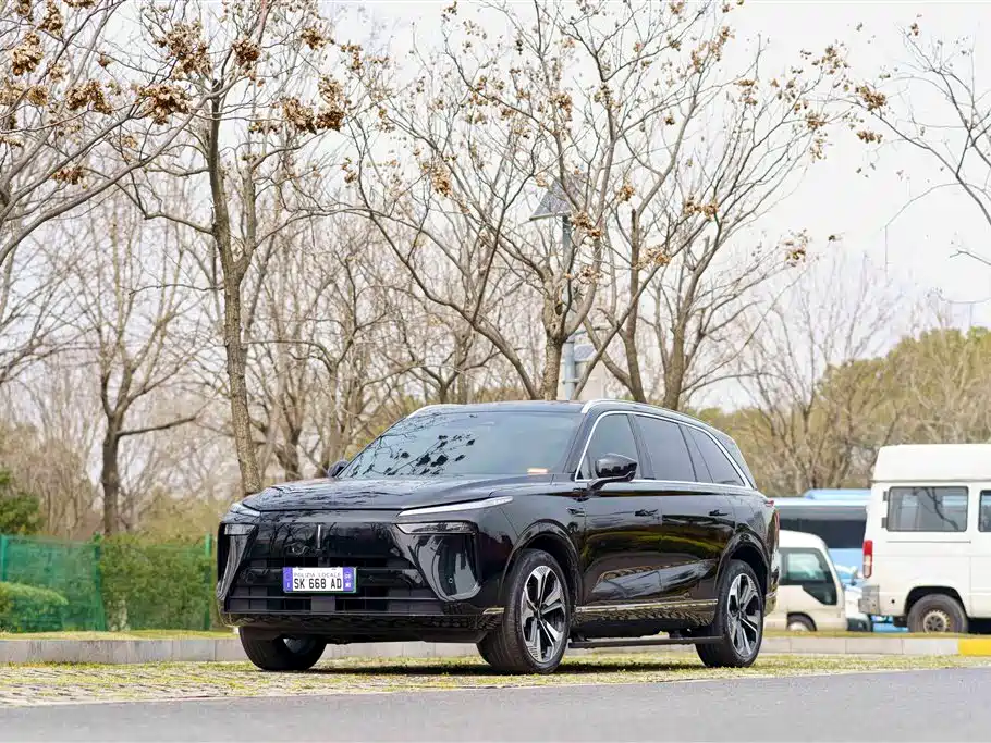 WEI PAI WEI BRAND BLUE MOUNTAIN