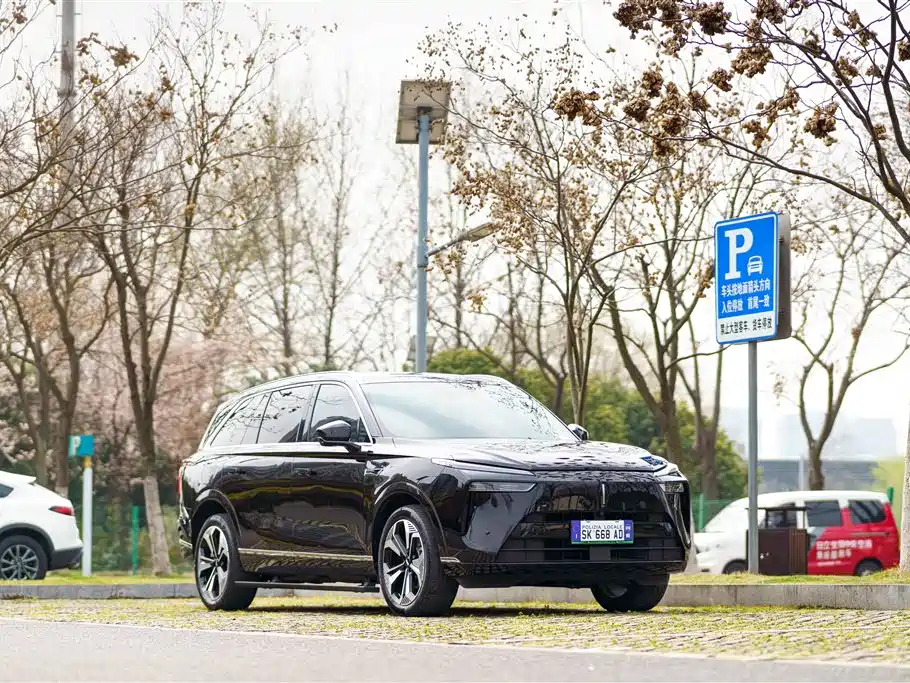 WEI PAI WEI BRAND BLUE MOUNTAIN