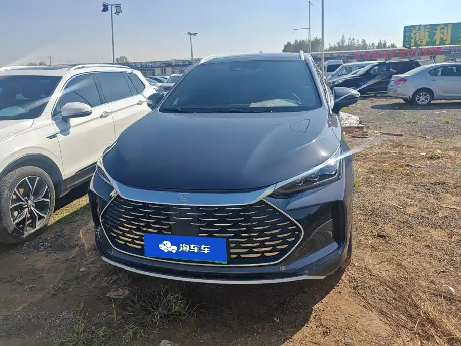 BYD Tang New Energy — миниатюра 2