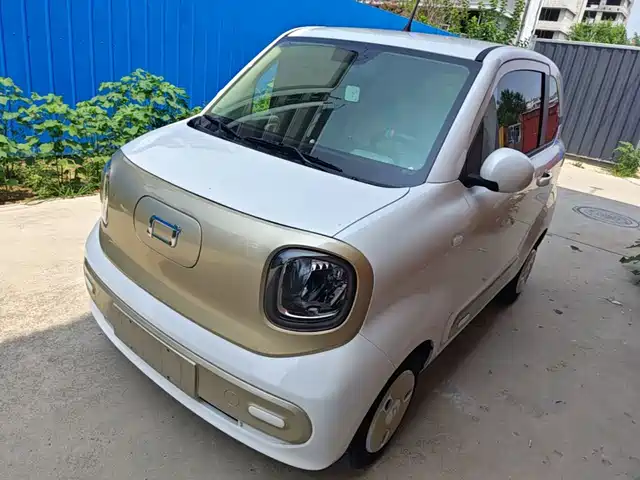 2025 Bestune Pony
