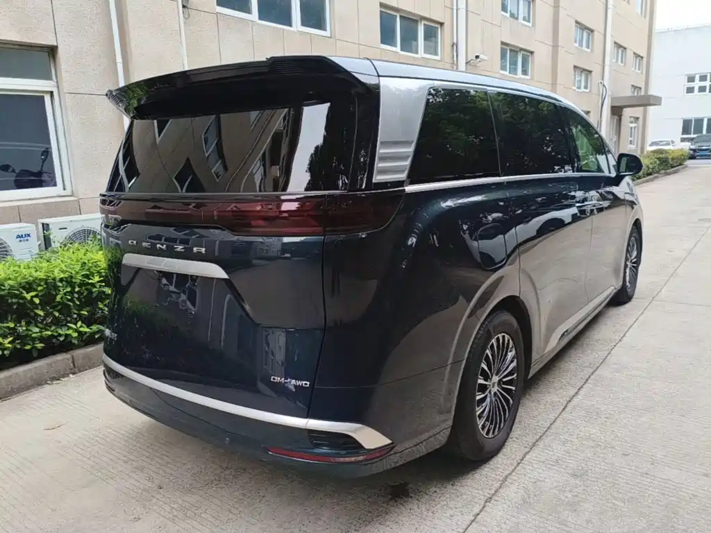 Denza Denza D9 — миниатюра 7