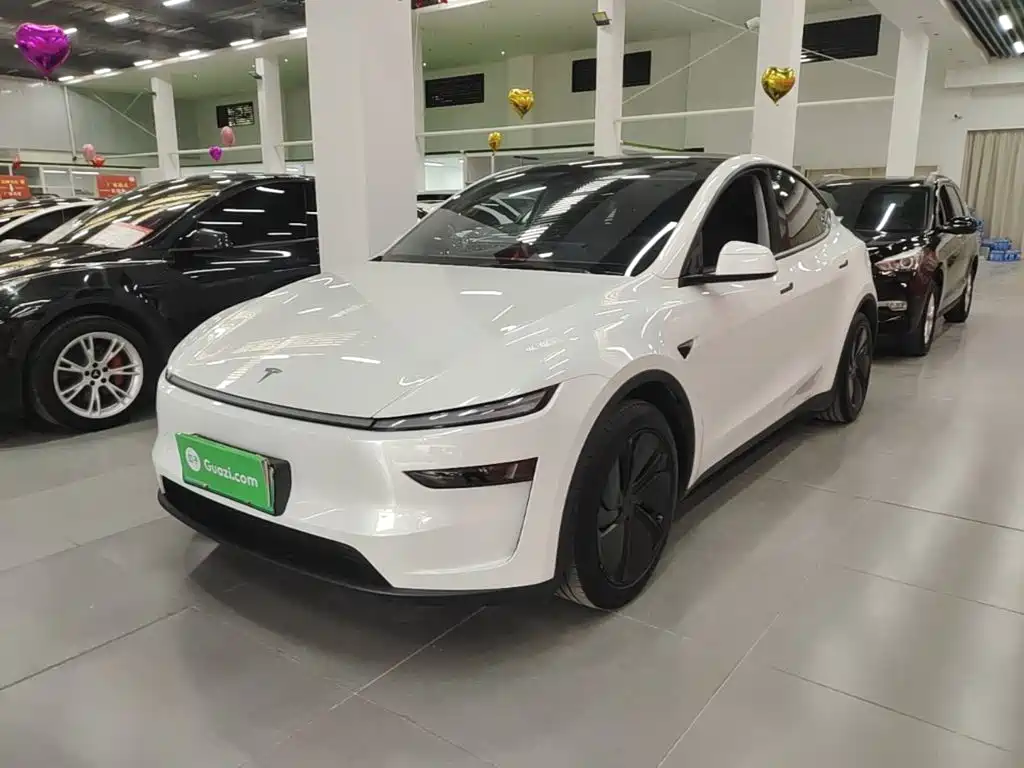 Tesla Model Y — миниатюра 2