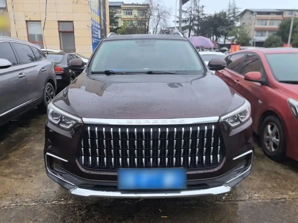 Leopaard Mattu — миниатюра 3