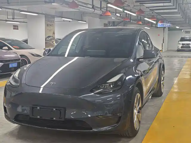 TESLA MODEL Y 2021