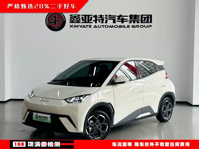2024 BYD Seagull