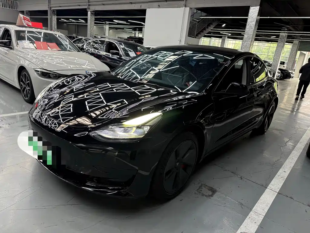 Tesla Model 3 2021