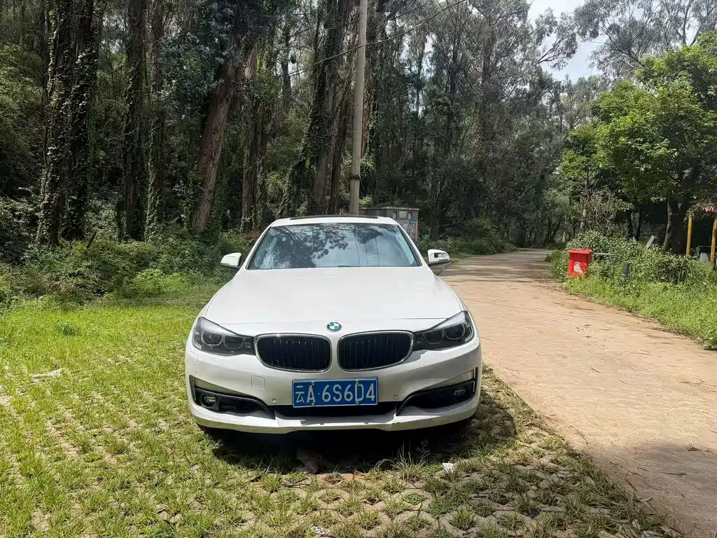 BMW 3 Series GT — миниатюра 2