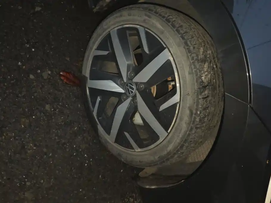 Volkswagen Lamando — миниатюра 6