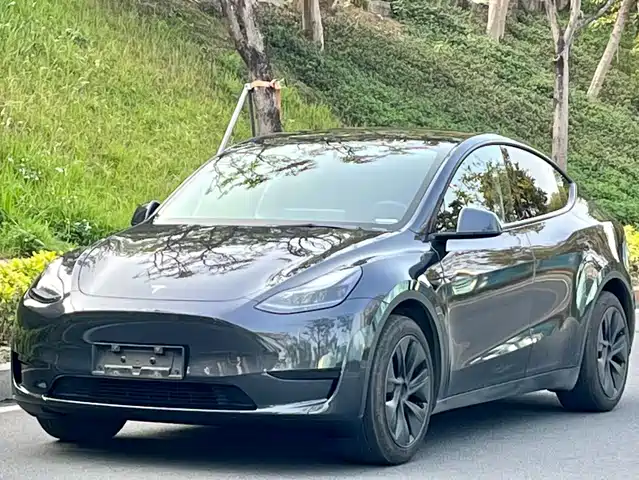 TESLA MODEL Y 2024