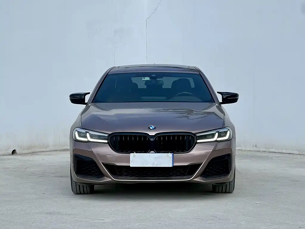 BMW 5 Series — миниатюра 2