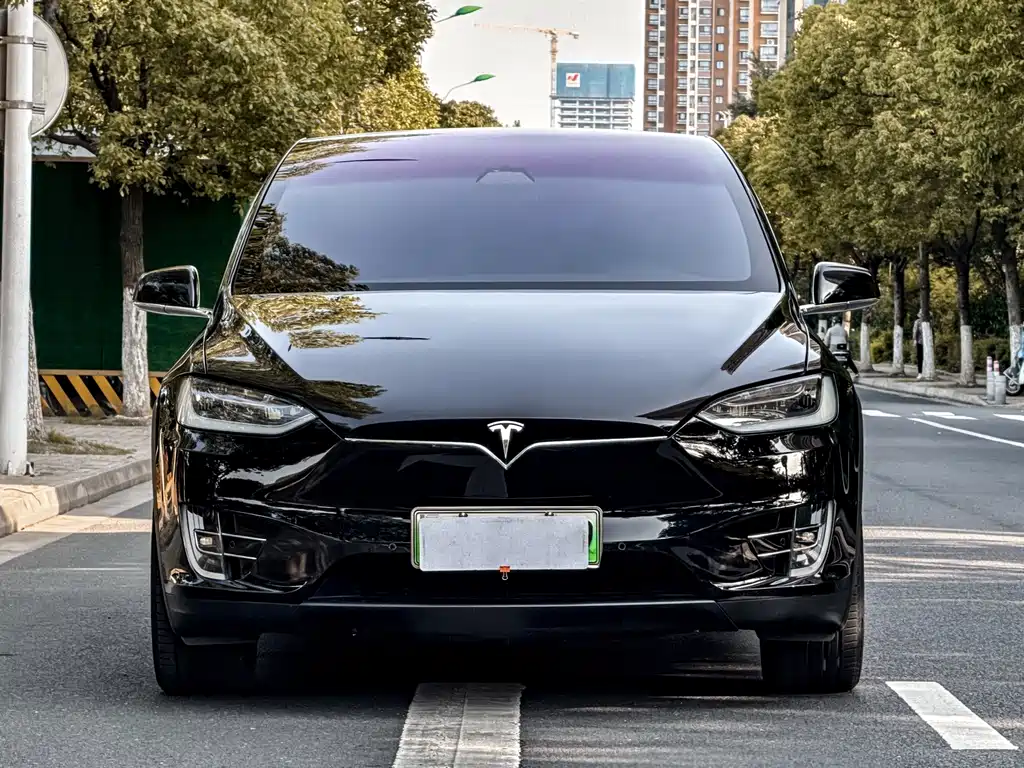 Tesla Model X — миниатюра 3
