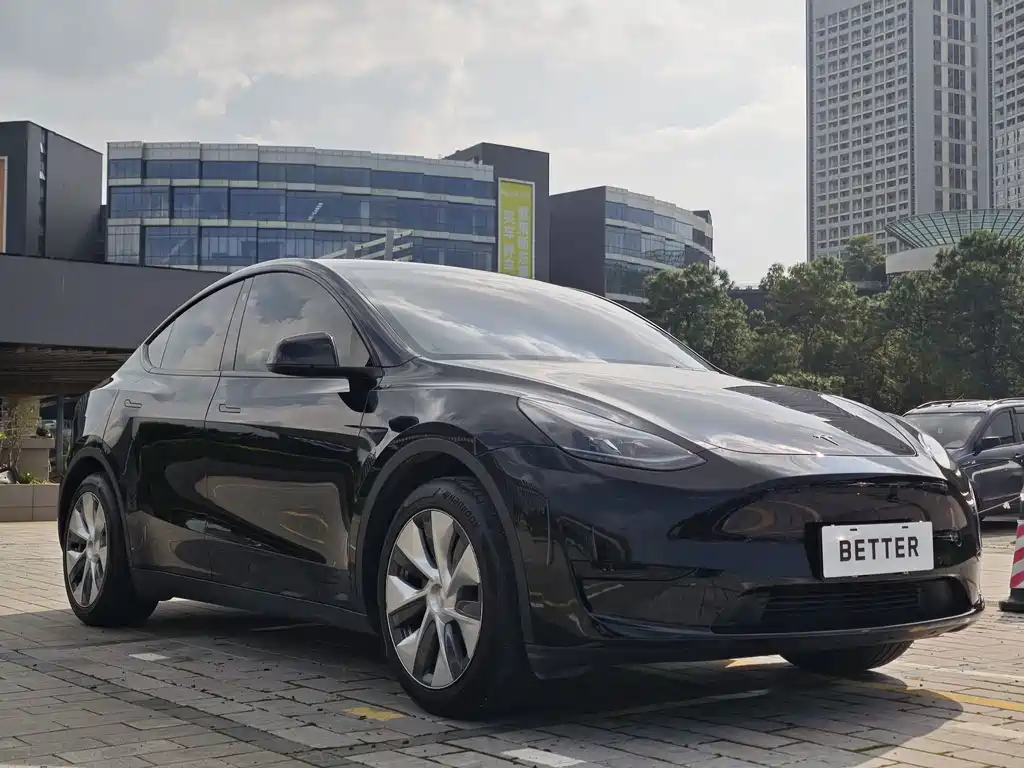 Tesla Model Y — миниатюра 3
