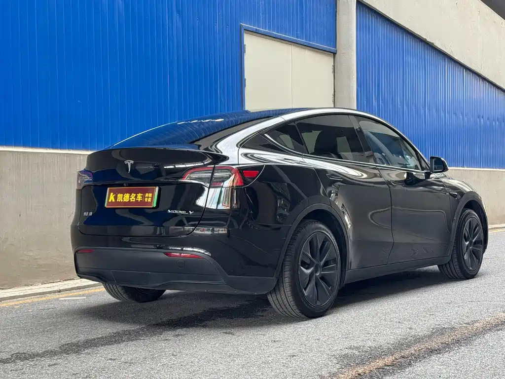 Tesla Model Y — миниатюра 7