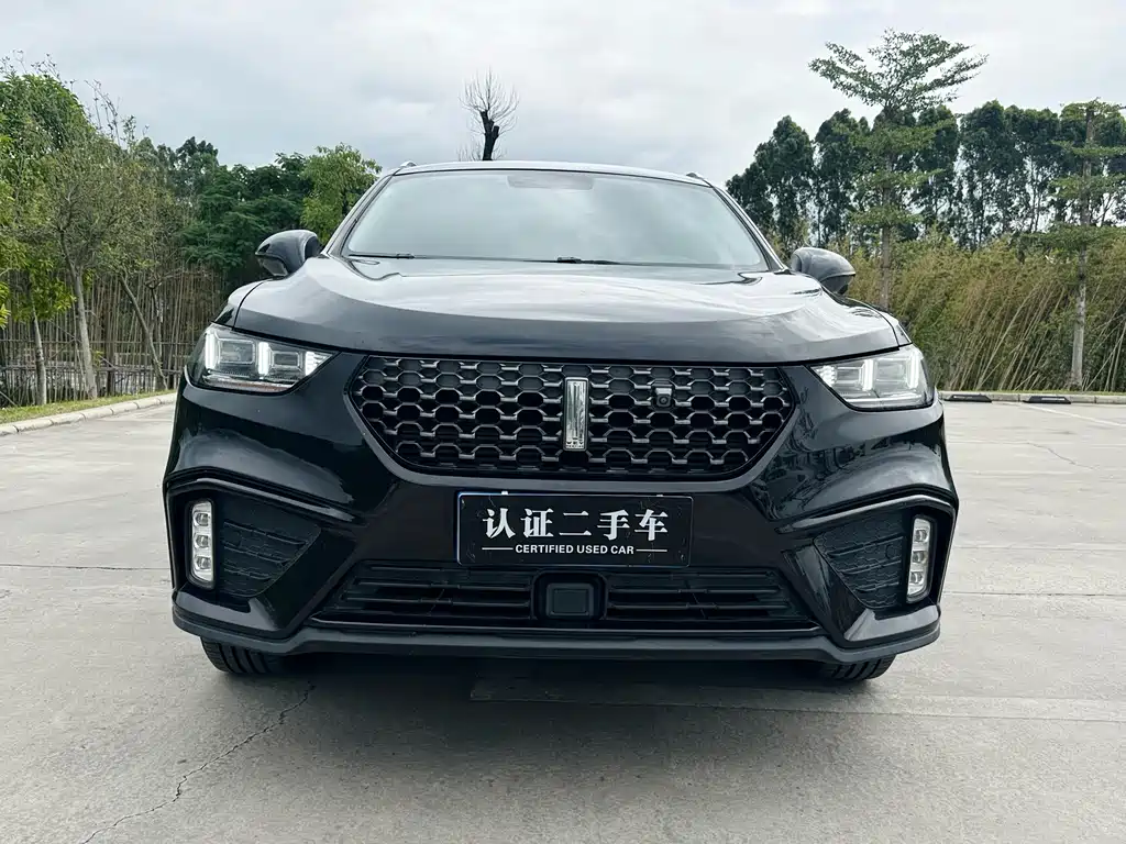 WEI PAI WEI BRAND VV5