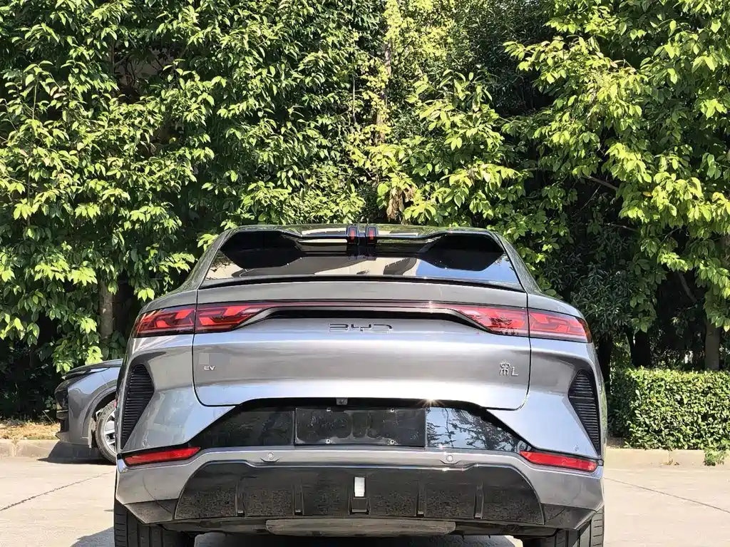 BYD L EV — миниатюра 6