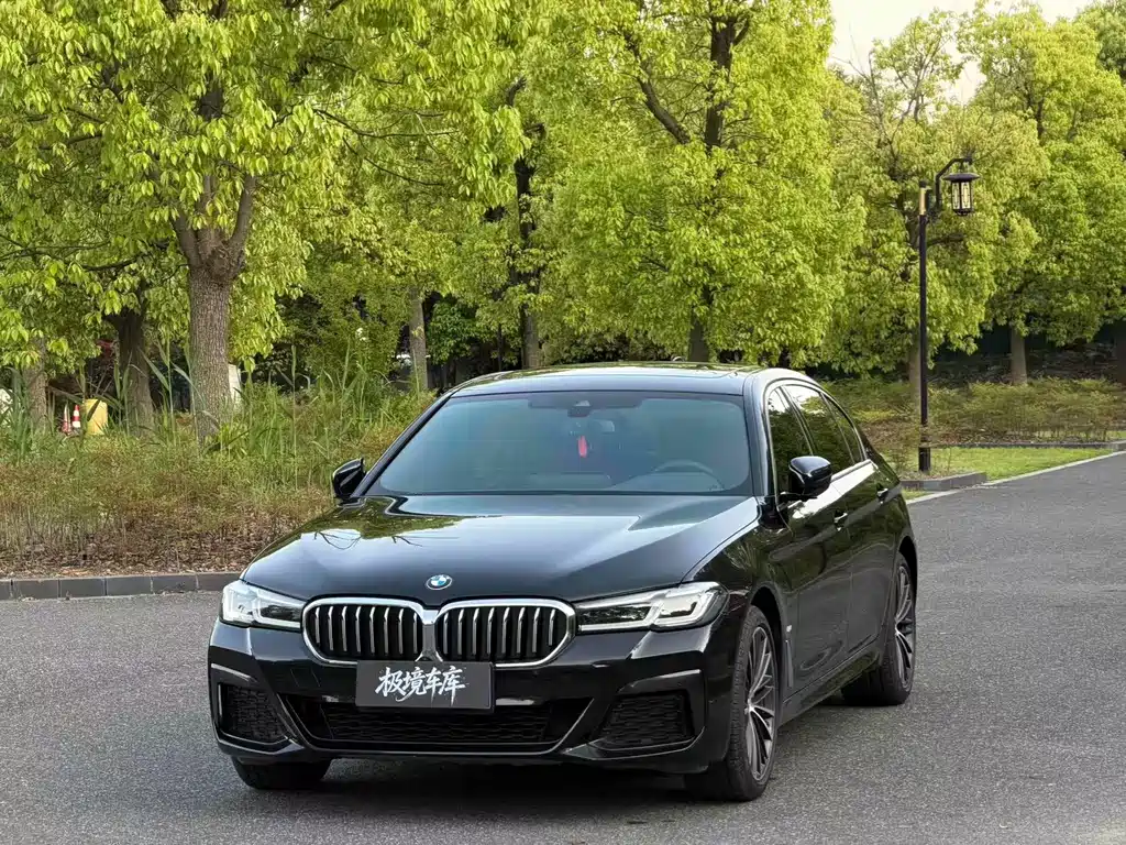 BMW 5 Series 2021