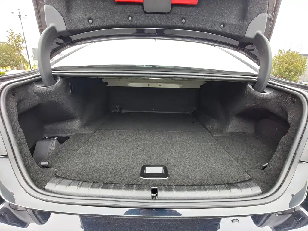 BMW 5 SERIES NEW ENERGY