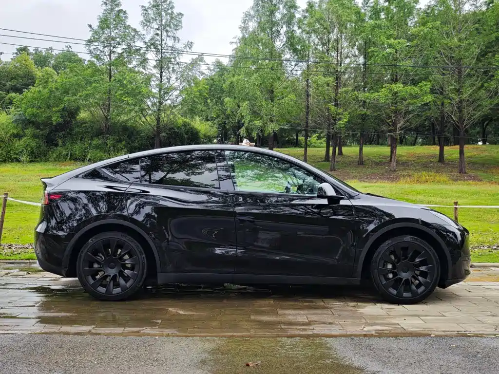 Tesla Model Y — миниатюра 4