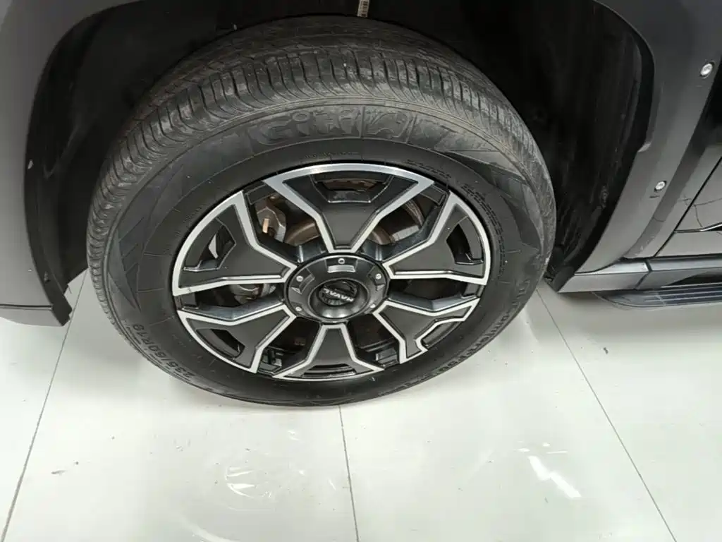 Haval Big Dog PLUS New Energy — миниатюра 23
