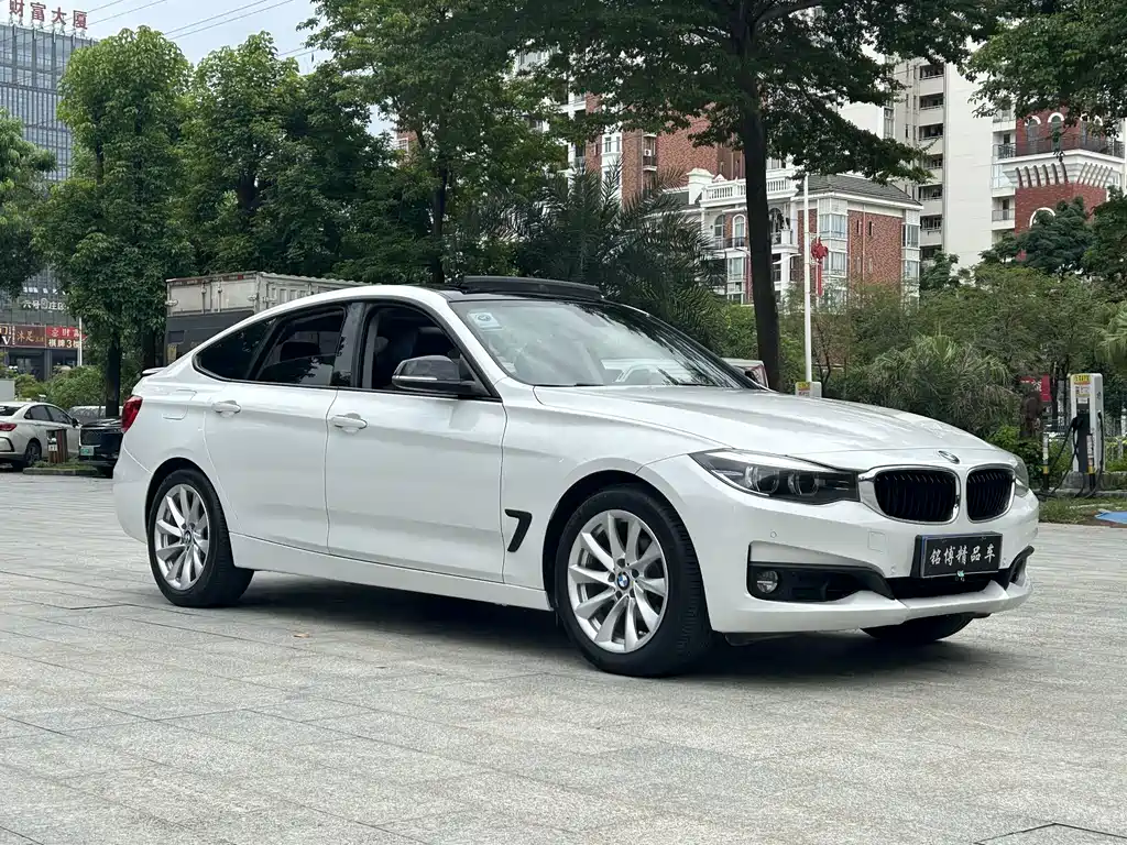 BMW 3 Series GT 320i Fashion Type, фото 3