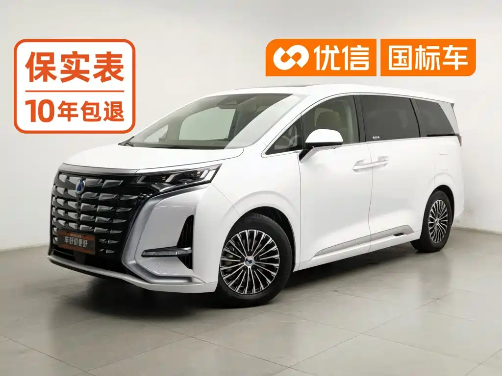 Denza Denza D9
