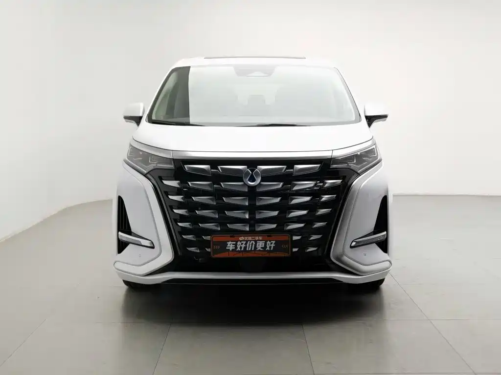 Denza Denza D9 — миниатюра 3