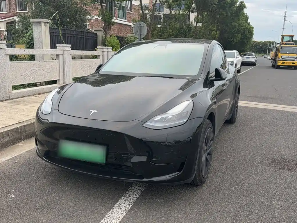 Tesla Model Y — миниатюра 2