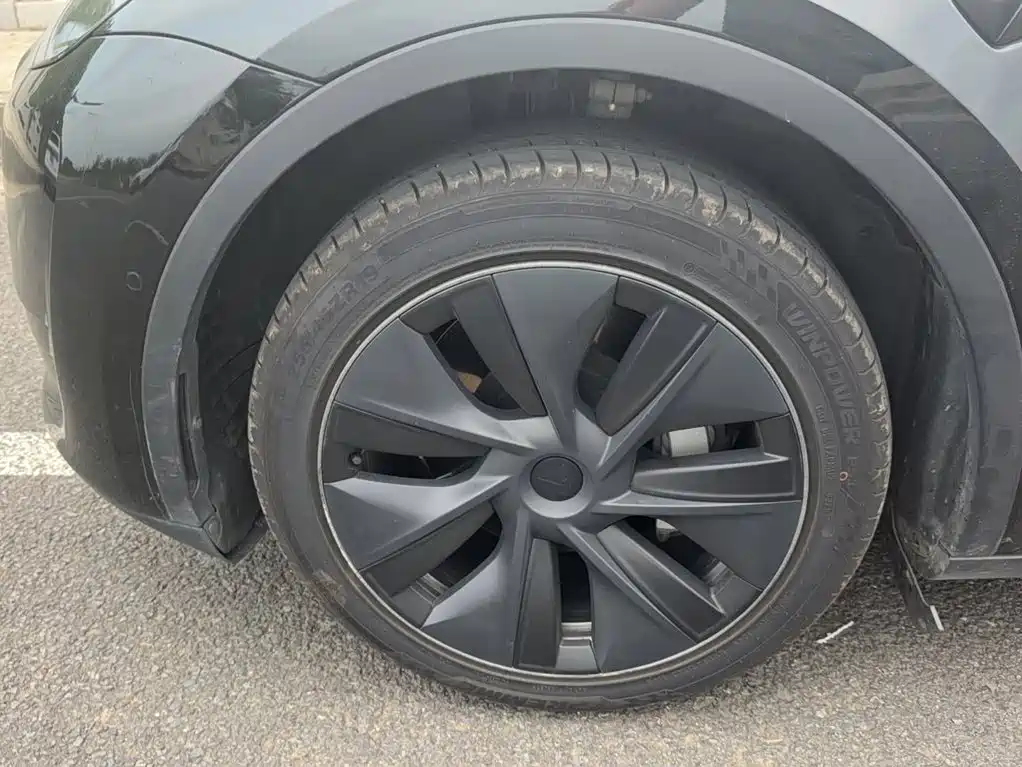 Tesla Model Y — миниатюра 20