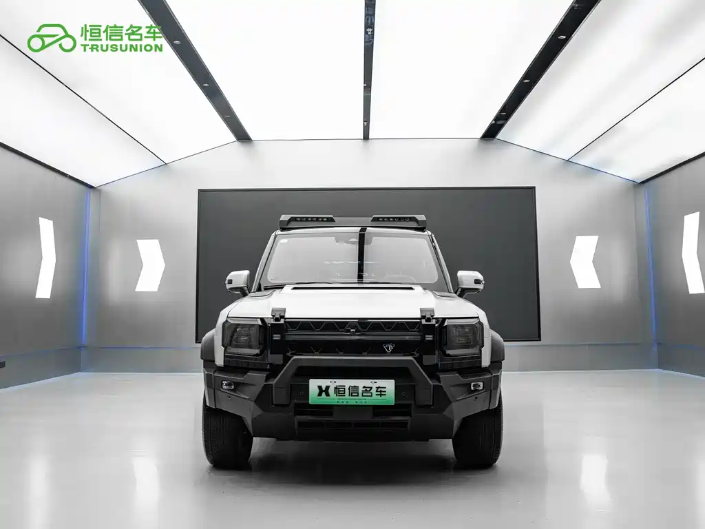 Shanhai Краткосрочный путешественник C-DM — миниатюра 2