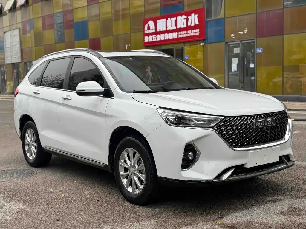 HAVAL  M6