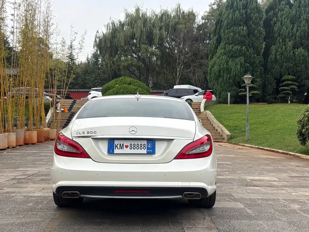 Mercedes-Benz CLS — миниатюра 15