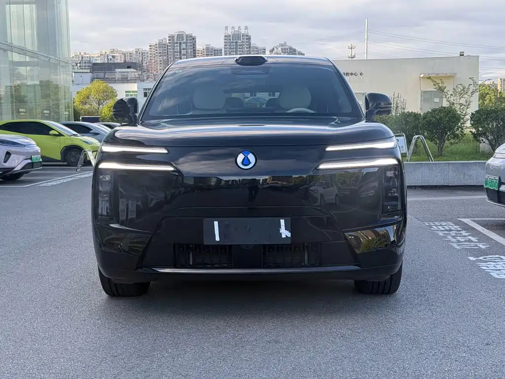 Denza Zoom N8L — миниатюра 2