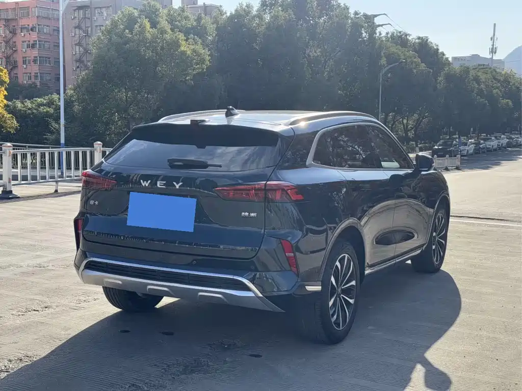 WEI PAI WEI BRAND MOCHA