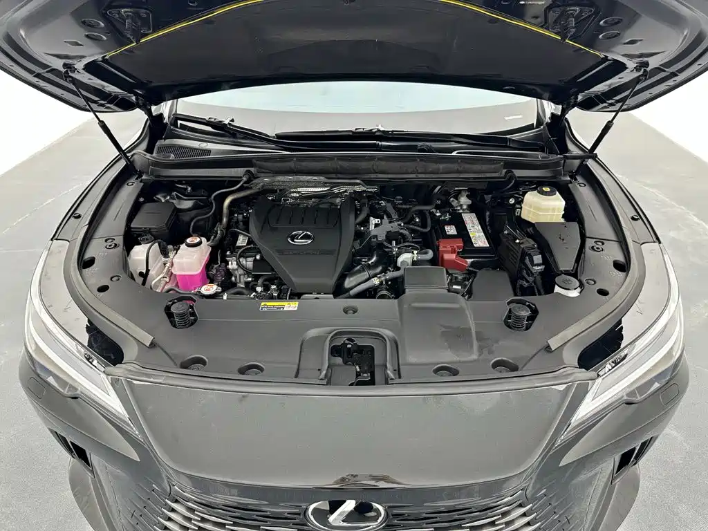 Lexus RX — миниатюра 19