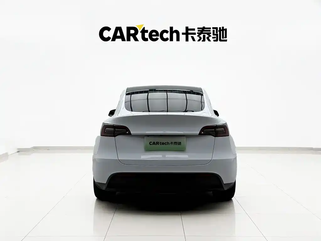 Tesla Model Y — миниатюра 18