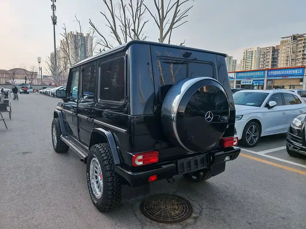 Mercedes-Benz G-Class G 2010 G 500