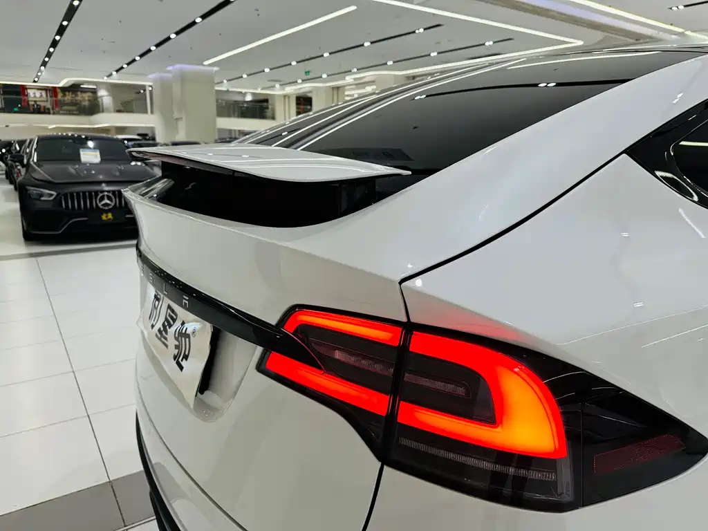 Tesla Model X — миниатюра 27