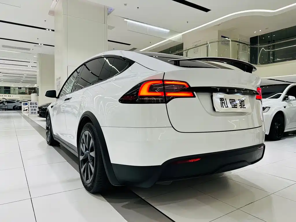 Tesla Model X — миниатюра 28