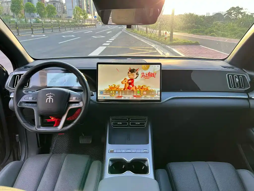 BYD Pro New Energy — миниатюра 8