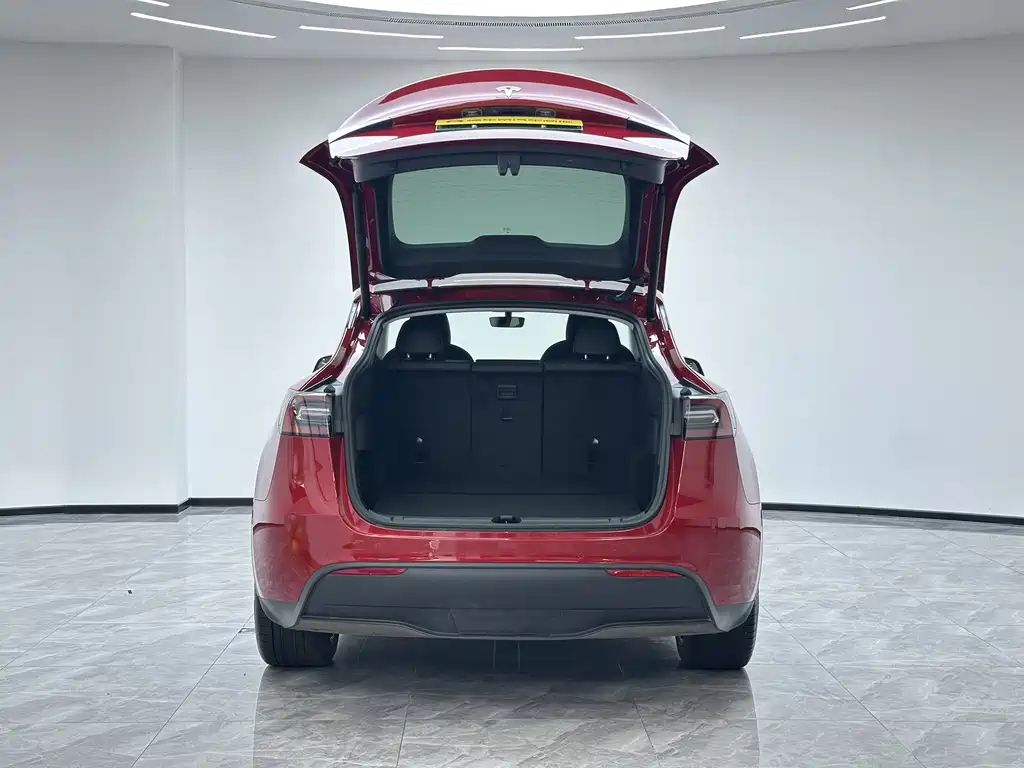 Tesla Model Y — миниатюра 11
