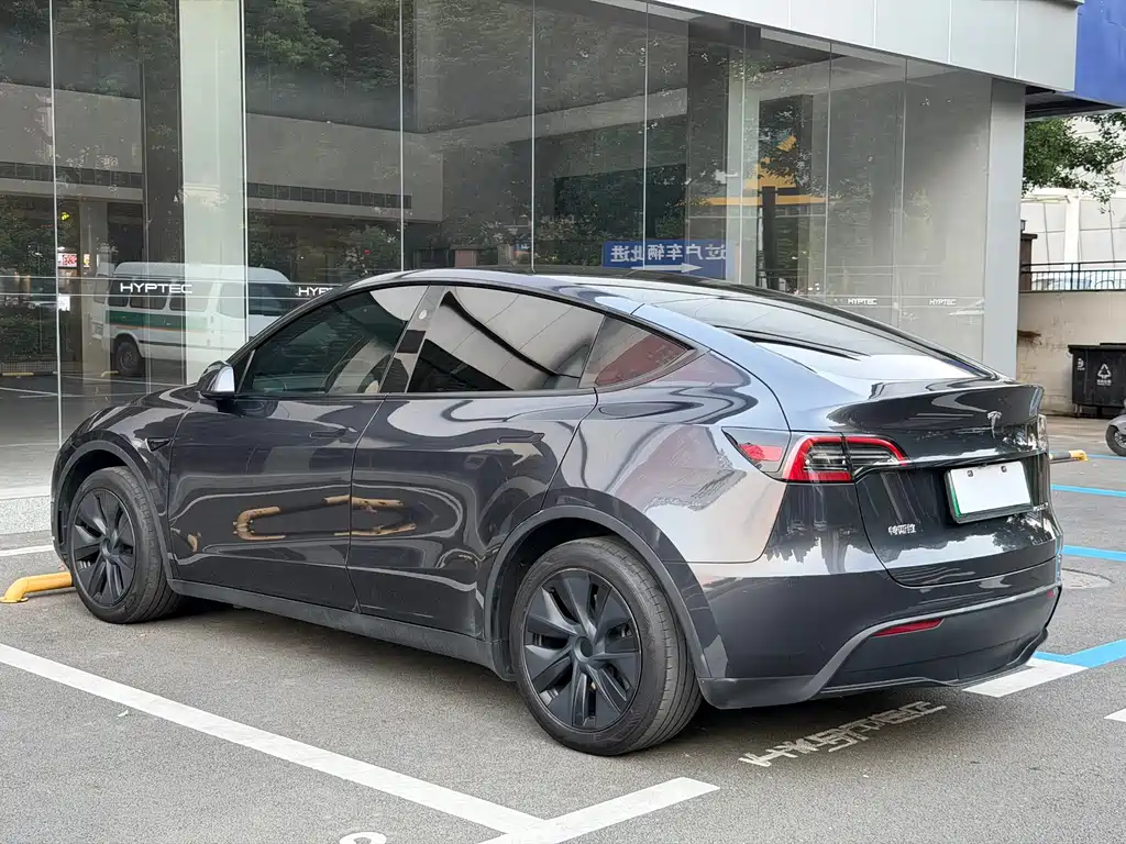 Tesla Model Y — миниатюра 8