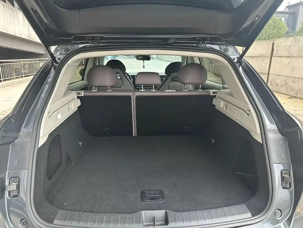 Leapmotor Leapmotor C11 — миниатюра 10