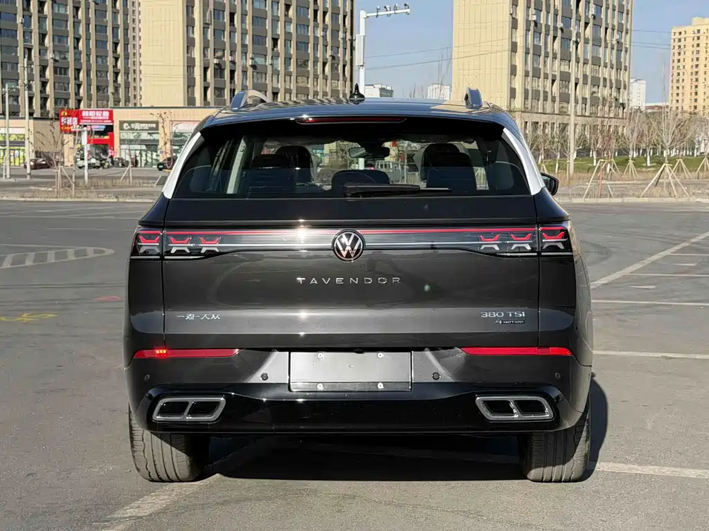 Volkswagen Tavendor 380TSI 4WD R-Line Cruising Joy for All Model, фото 9